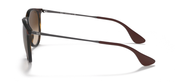 Ray Ban - RB4171 Erika – Image 3