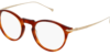 Charmant Minamoto - MN31026